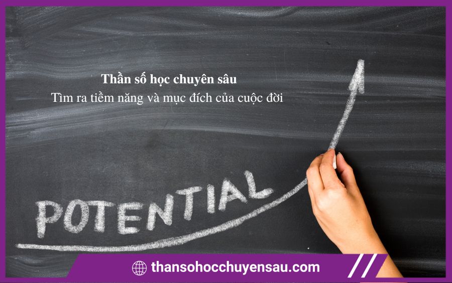Thần số học chuyên sâu được ứng dụng để tìm ra tiềm năng và mục đích của cuộc đời bạn