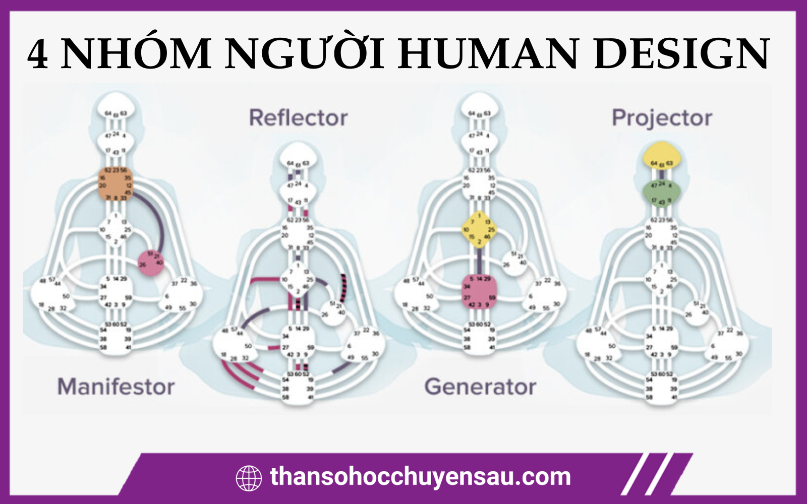 4 nhóm người trong Human Design