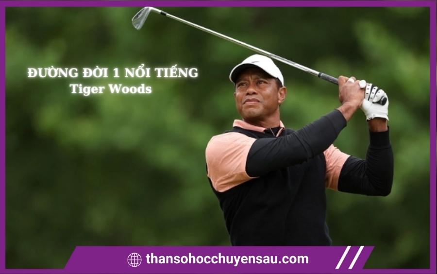 Người nổi tiếng đường đời 1 Tiger Woods 