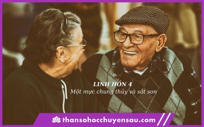 Thu hút những người dịu dàng, yếu đuối