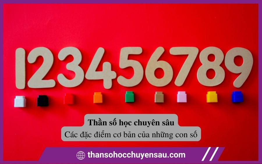 Đặc điểm cơ bản của các con số trong Thần số học chuyên sâu