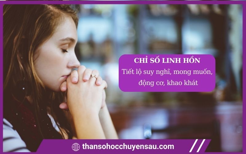 Chỉ số linh hồn tiết lộ các yếu tố nội tâm 