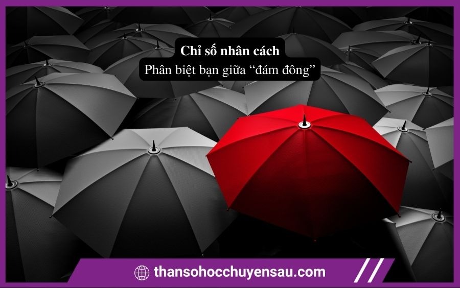 Chỉ số nhân cách thần số học chuyên sâu