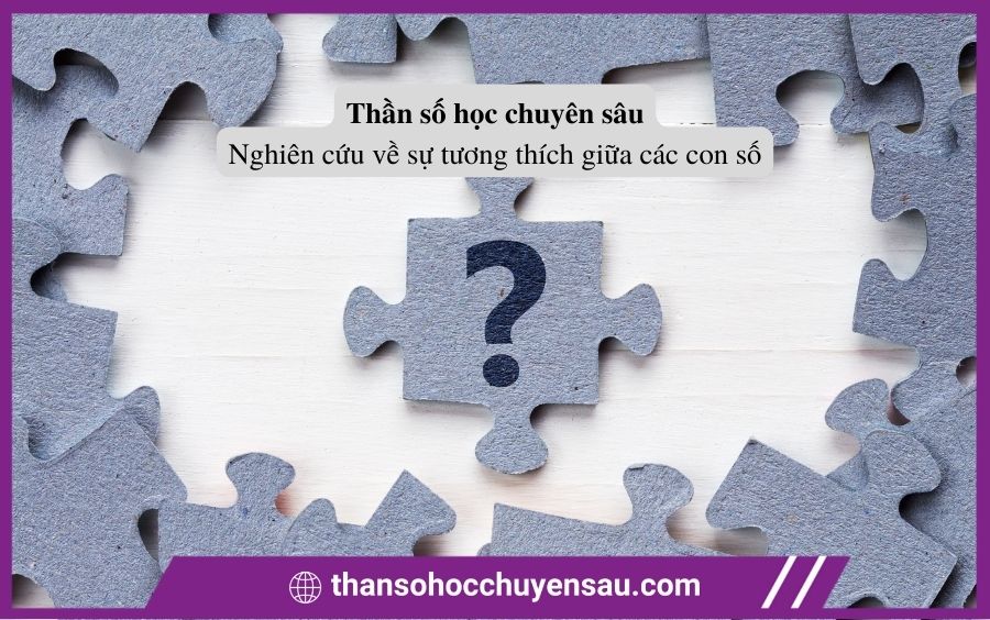 Tìm kiếm sự tương thích giữa các con số Thần số học chuyên sâu