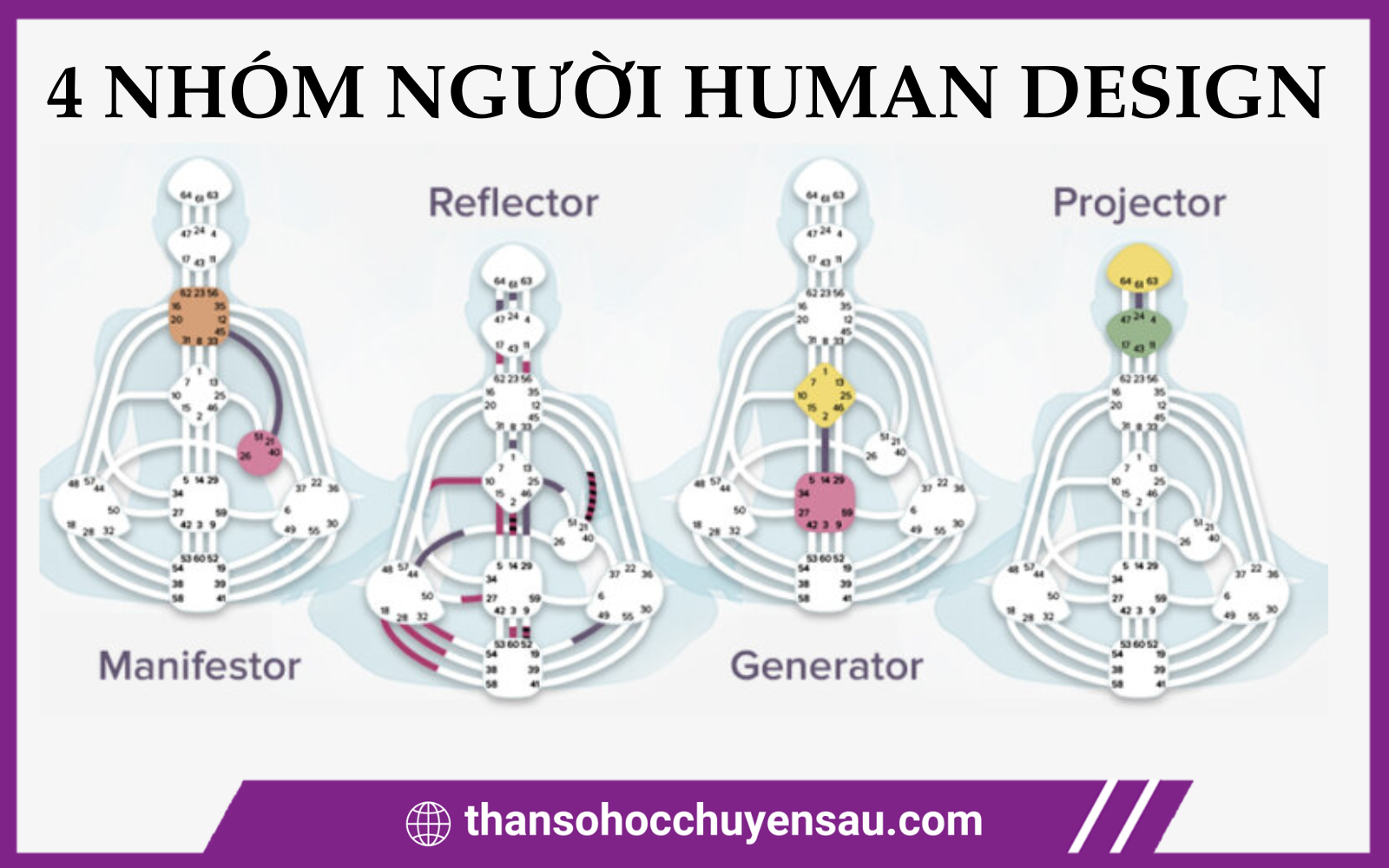 Các nhóm người trong Human Design