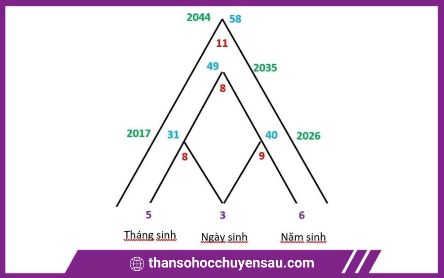 cách tính đỉnh cao thần số học