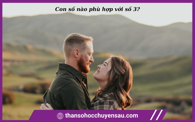Con số nào phù hợp với số 3
