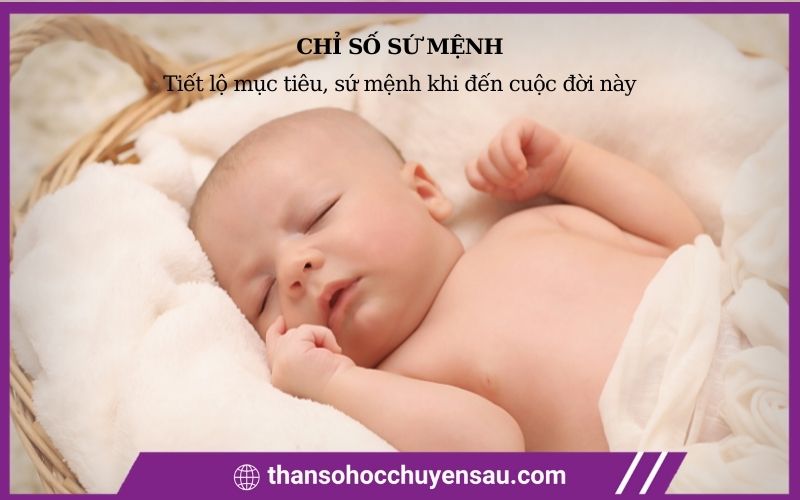 Chỉ số sứ mệnh tiết lộ mục tiêu, sứ mệnh khi đến cuộc đời