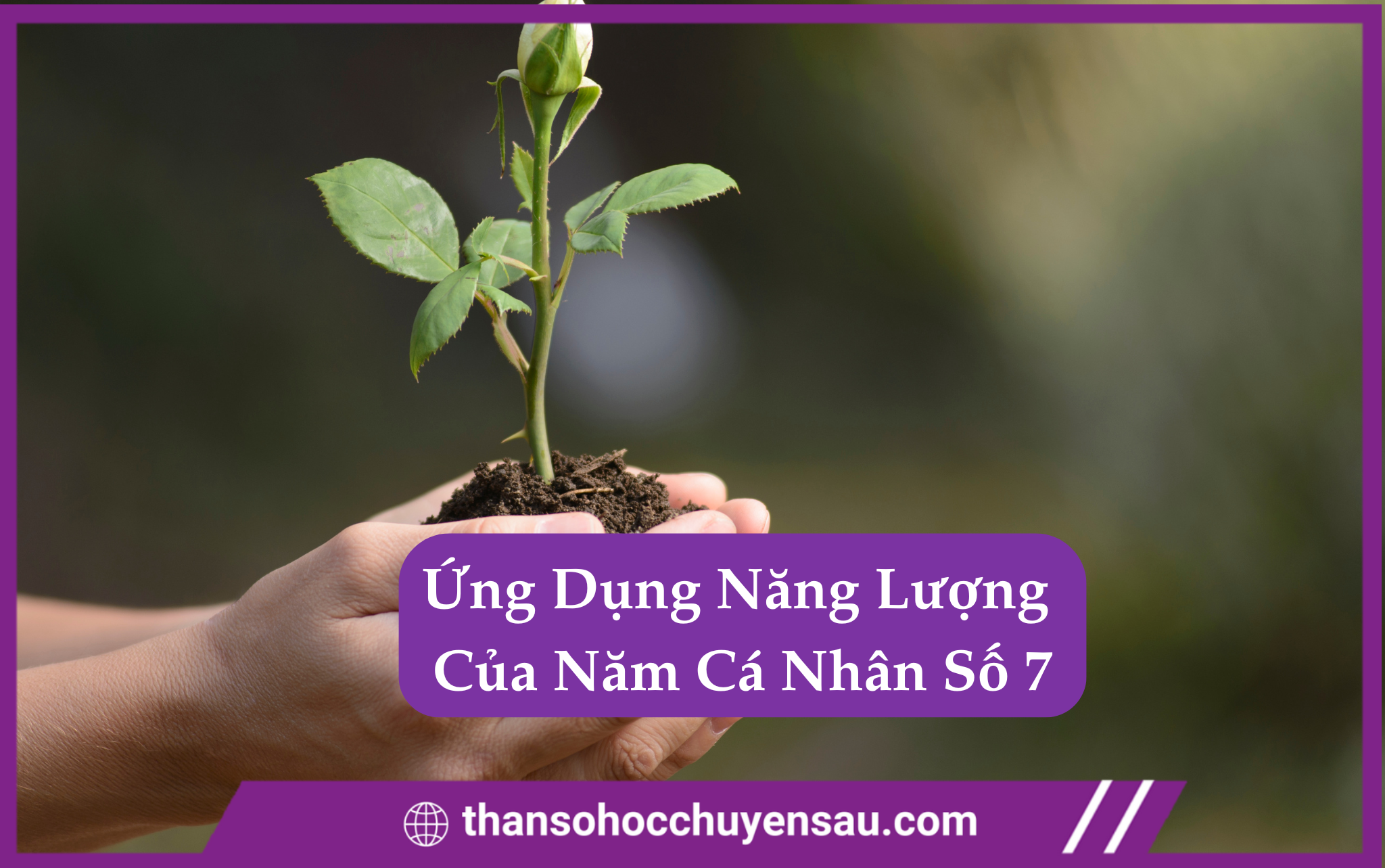 Cách Ứng Dụng Năng Lượng Của Năm Cá Nhân Số 7 Trong Thần Số Học Chuyên Sâu
