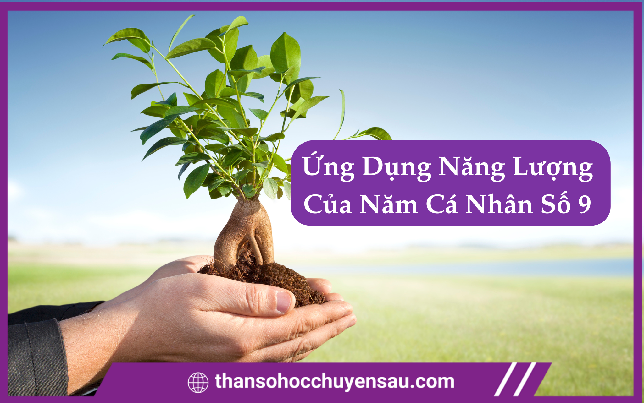 Cách Ứng Dụng Năng Lượng Của Năm Cá Nhân Số 8 Trong Thần Số Học Chuyên Sâu